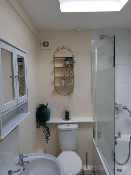 Apartamento Two Bed Flat Sea View Old Town Hastings Exterior foto